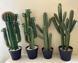 T0160 Cactus in Pot 4 Styles 70-78cm