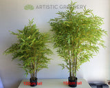 T0162 Faux Bamboo Plant 120cm / 150cm Fake Bamboo Plant Australia Perth WA Bayswater Malaga Wangara