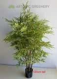 T0162 Faux Bamboo Plant 120cm / 150cm Fake Bamboo Plant Australia Perth WA Bayswater Malaga Wangara