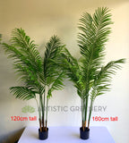 T0163 Artificial Kentia Palm available in 3 Sizes 120/160/180cm | ARTISTIC GREENERY