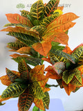 T0164 Artificial Red Croton Tree 3 Sizes 60 / 120 / 180cm | ARTISTIC GREENERY