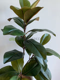 T0167 Artificial Magnolia Foilage / Branch 128cm | ARTISTIC GREENERY