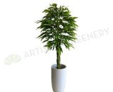 T0168 Artificial Banana-leaf Ficus Twisted Base 180cm | ARTISTIC GREENERY