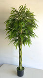 T0168 Banana-leaf Ficus Twisted Base 180cm