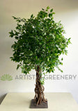 T0176 Faux Ficus Tree with Braided Roots 150cm | ARTISTIC GREENERY