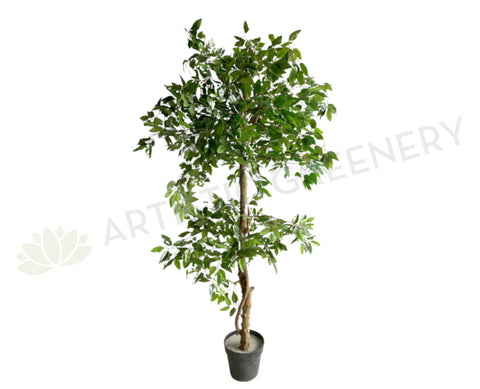 T0177 Imitation Ficus Tree 2 Tiers 150cm Australia Perth | ARTISTIC GREENERY