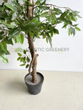 T0177 Imitation Ficus Tree 2 Tiers 150cm Australia Perth | ARTISTIC GREENERY