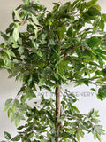 T0177 Imitation Ficus Tree 2 Tiers 150cm Australia Perth | ARTISTIC GREENERY