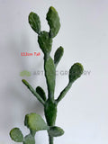 T0180 Artificial Barbary Fig / Prickly Pear Cactus 2 Sizes (76cm / 112cm)  | ARTISTIC GREENERY