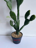 T0180 Artificial Barbary Fig / Prickly Pear Cactus 2 Sizes (76cm / 112cm)  | ARTISTIC GREENERY