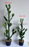 T0180 Artificial Barbary Fig / Prickly Pear Cactus 2 Sizes (76cm / 112cm)  | ARTISTIC GREENERY