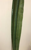 TEMP0005 Clearance Single Flax Leaf 114cm Green