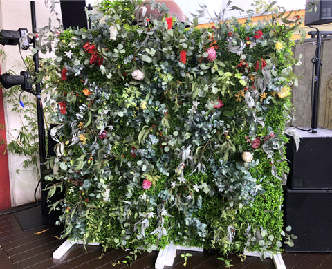 The Garden (Leederville) - Native Flower Wall / Arches / Truss Pavilion Hire