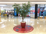 The Square Mirrabooka - Wishing Tree for Chinese New Year Activity