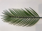 F-RT-5765 Single Palm Leaf 74cm