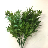 SP0200 Dusty Miller Plant 32cm 2 Styles