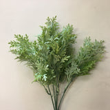 SP0220 Dusty Miller Plant 32cm