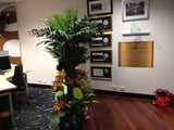 Elev8 Australia - Tropical Garden (Entrance Partition)